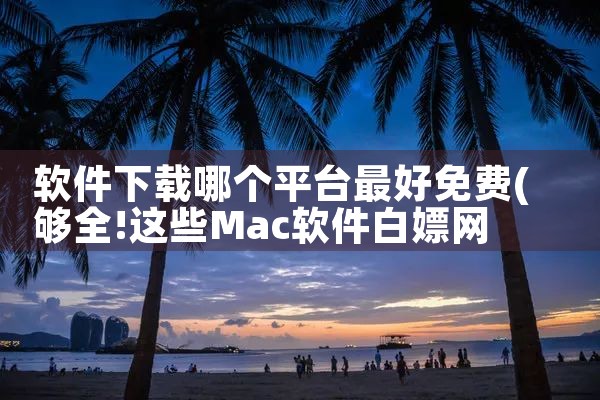 软件下载哪个平台最好免费|男娘日记