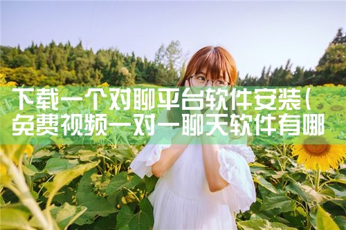 下载一个对聊平台软件安装