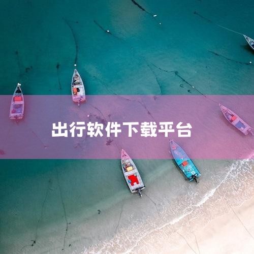 首先，可以在手机应用商店中搜索该出行用车平台的名称，找到对应的司机端应用程序进行下载安装。比如在安卓系统的应用商店或者苹果的App Store里操作。其次，也可以直接访问出行用车平台的官方网站，在网站|糖心Vlog入口