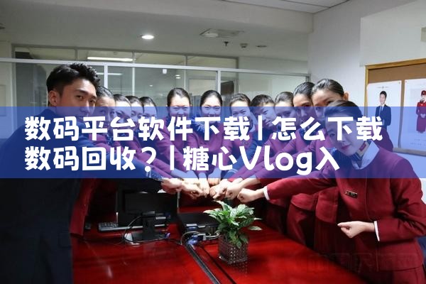 数码平台软件下载|糖心Vlog入口