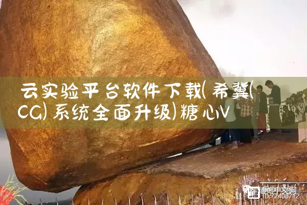 云实验平台软件下载|糖心Vlog