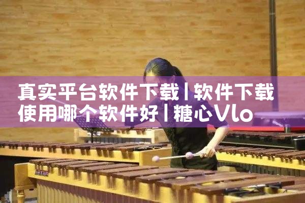 地铁云平台管理软件下载|糖心Vlog入口