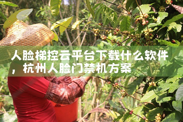 人脸梯控云平台下载什么软件