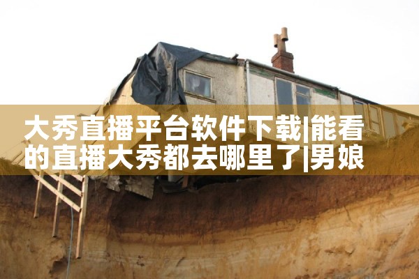 大秀直播平台软件下载|男娘日记