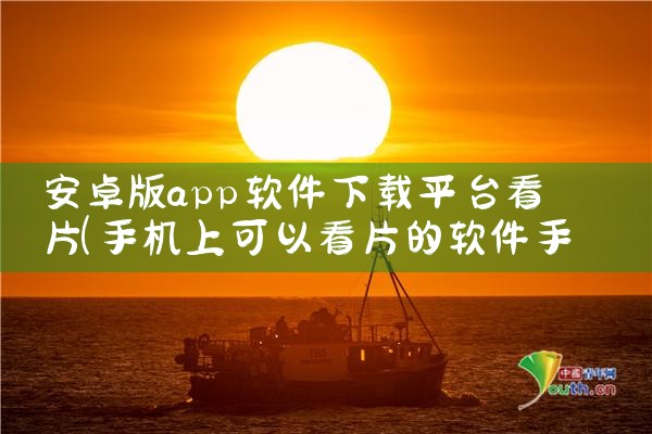 安卓版app软件下载平台看片