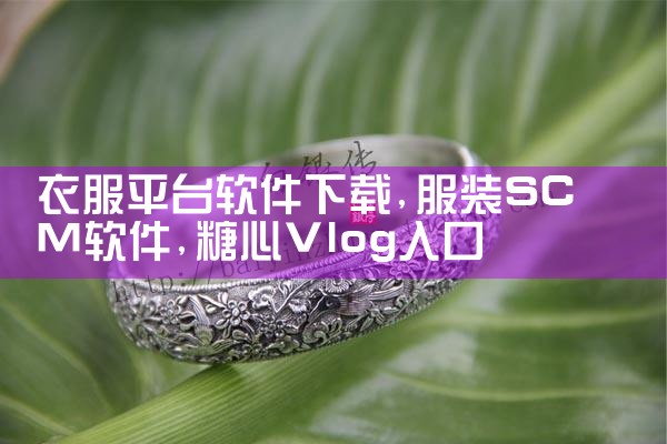 衣服平台软件下载|糖心Vlog入口