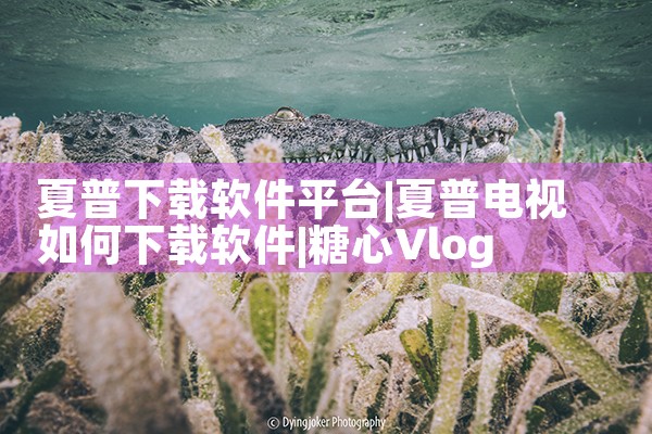 夏普下载软件平台|糖心Vlog入口