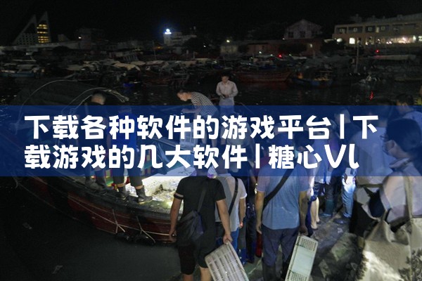 下载各种软件的游戏平台|糖心Vlog入口