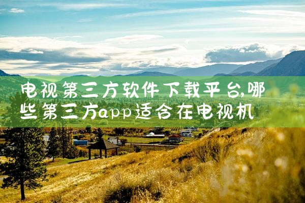 电视第三方软件下载平台